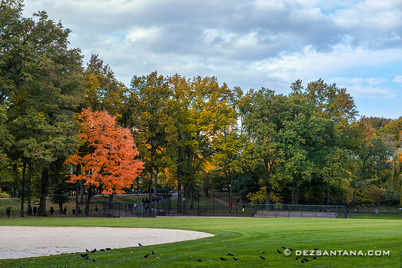 Heckscher Ballfields