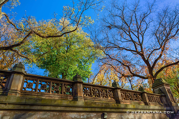 Bethesda Terrace