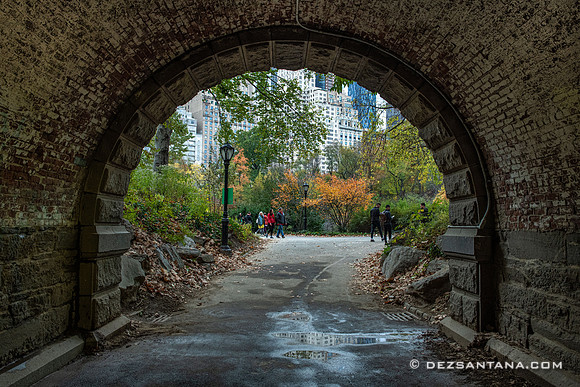 Inscope Arch