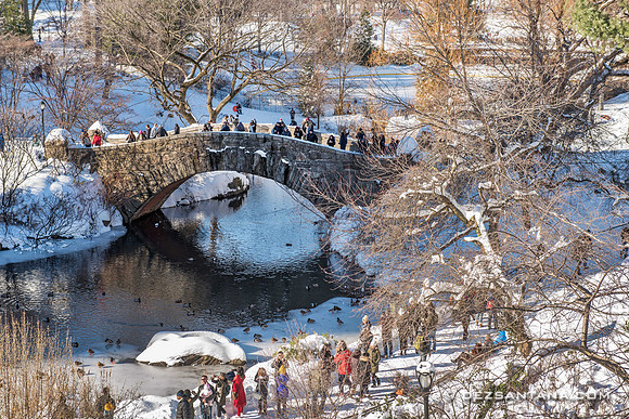 Gapstow Bridge