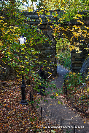 Ramble Arch