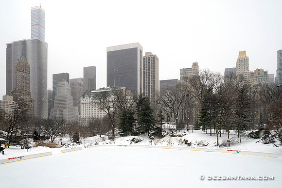 Wollman Rink