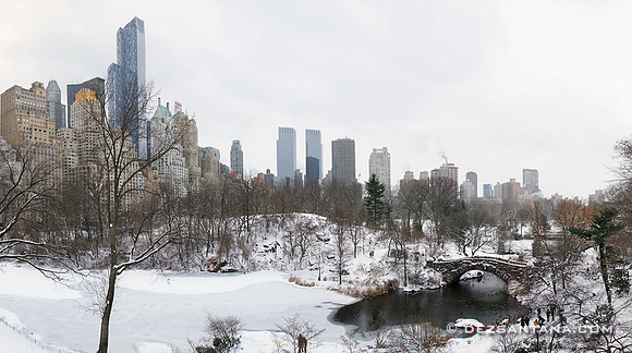 Winter Wonderland