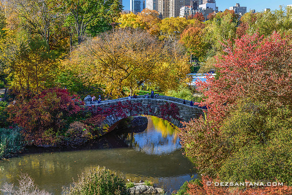 Gapstow Bridge