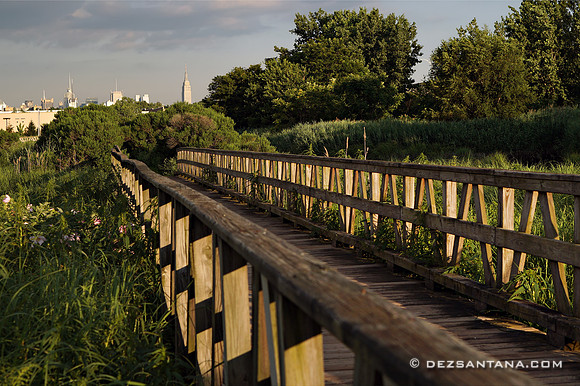 Mill Creek Marsh