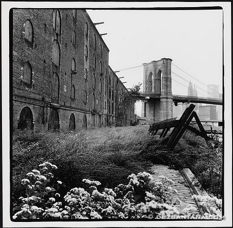 Brooklyn Bridge Park, 1975