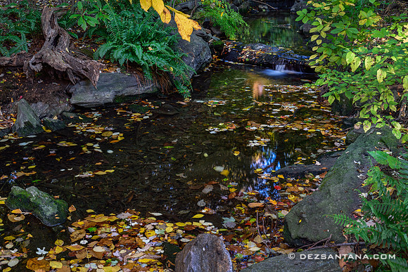 Stream