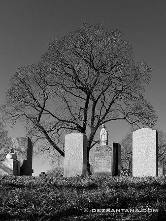New Calvary Cemetery