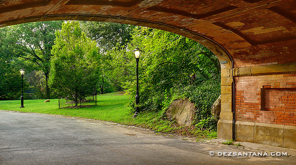 Driprock Arch