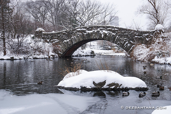 Gapstow Bridge