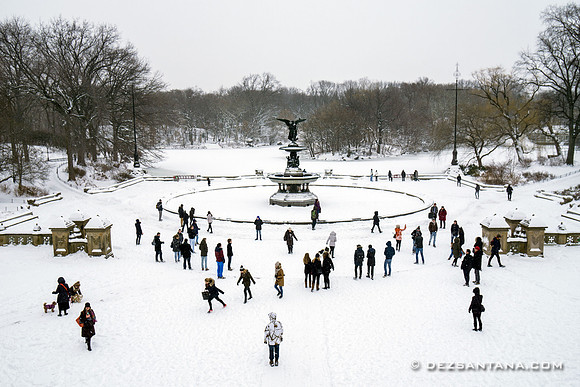 Bethesda Fountain