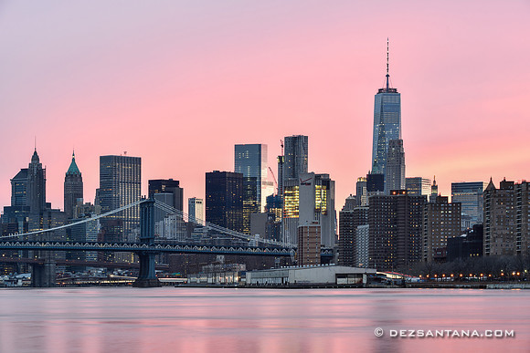 Burst of Pink