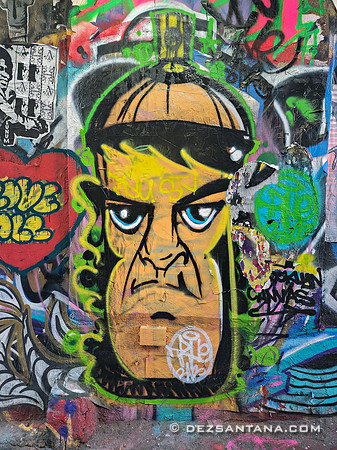 Freeman Alley