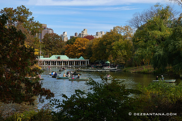 The Loeb Boathouse Central Park
