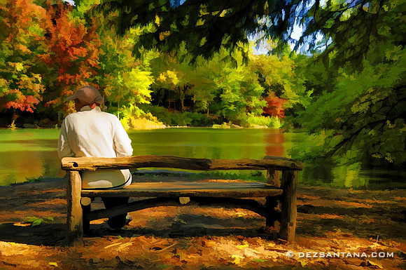 The Pond