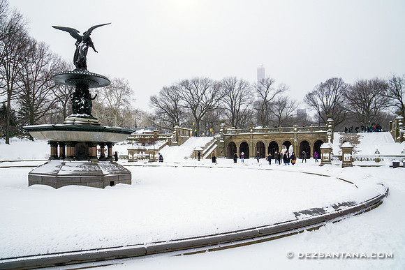 Bethesda Fountain