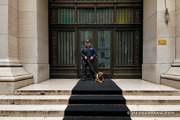 NYPD Cop, 2008