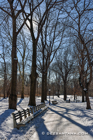 Beauty of Central Park
