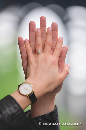 Andrew & Jen Proposal
