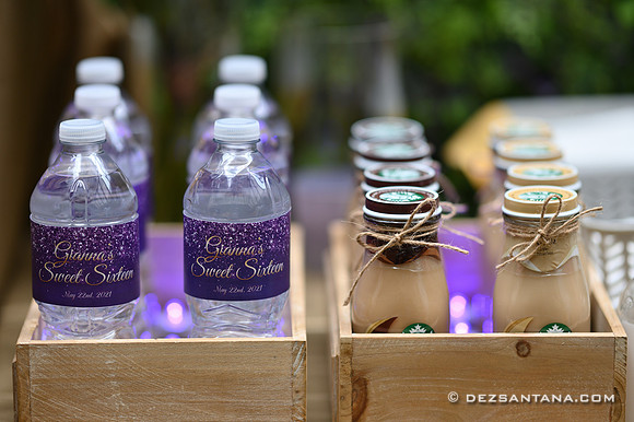 Arianna's Sweet 16