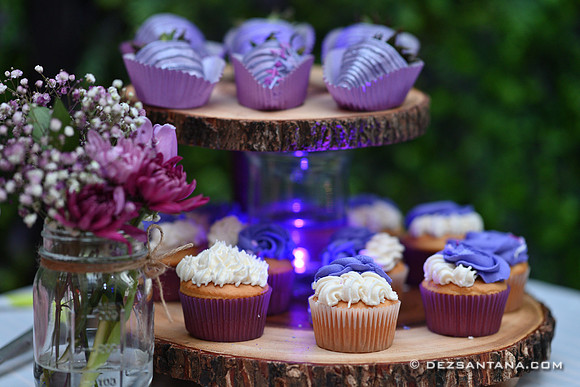 Arianna's Sweet 16