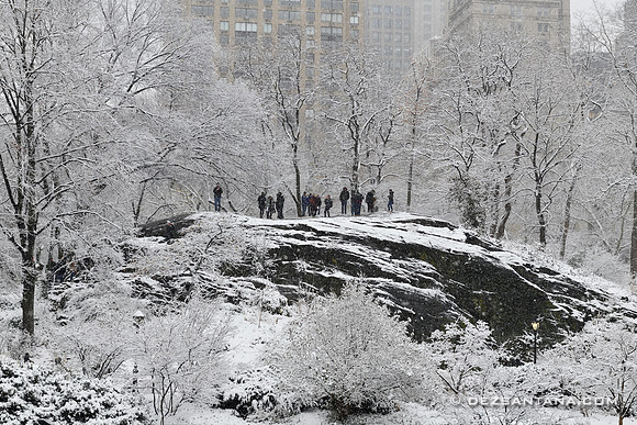 Central Park