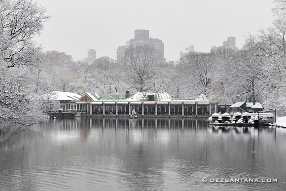 The Loeb Boathouse Central Park
