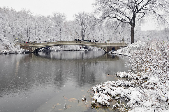 Bow Bridge