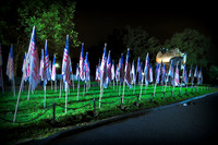 Tribute In Light: World Trade Center