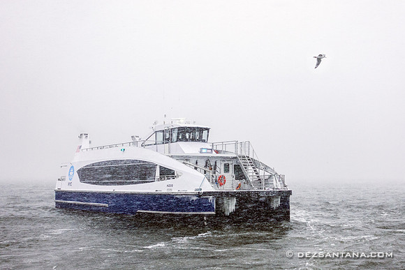 NYC Ferry