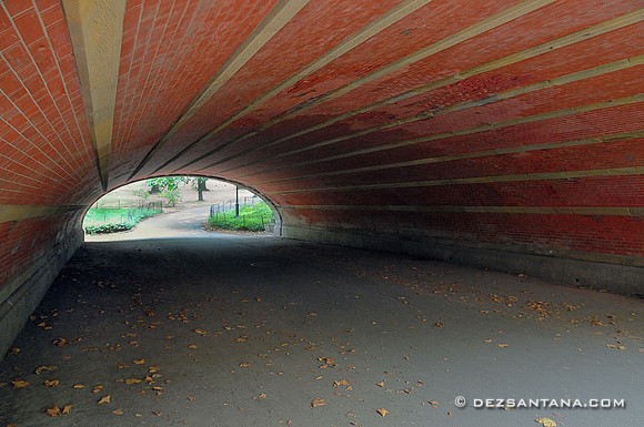 Greyshot Arch