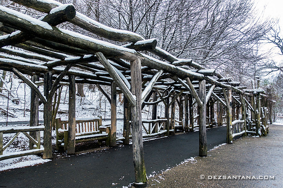 Prospect Park