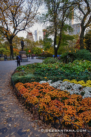 Olmstead Flower Bed