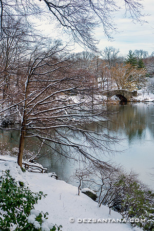 The Pond