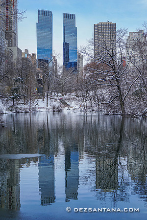 The Pond