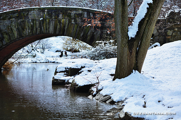 Gapstow Bridge