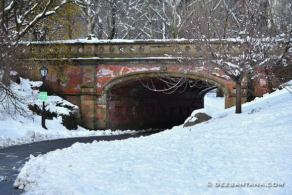 Driprock Arch