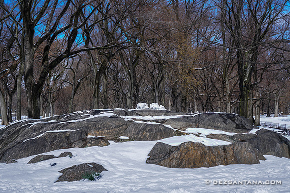 Central Park