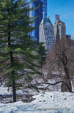 Central Park