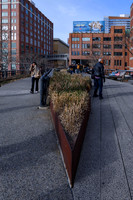 The High Line