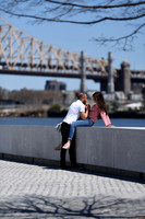 Roosevelt Island