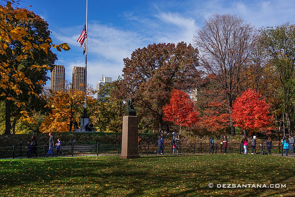 Fall Colors