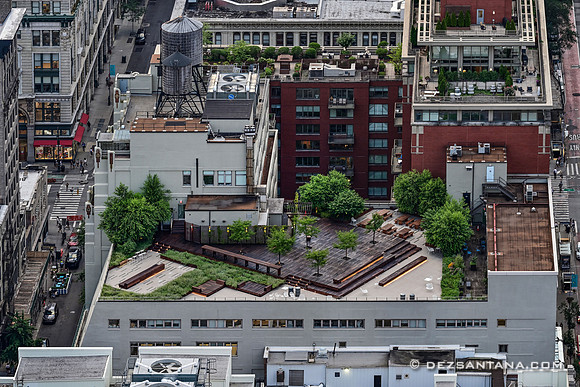 The Rich's Playground