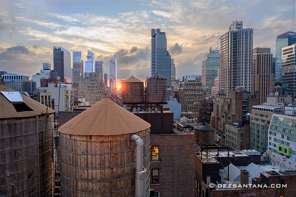 Concrete Jungle