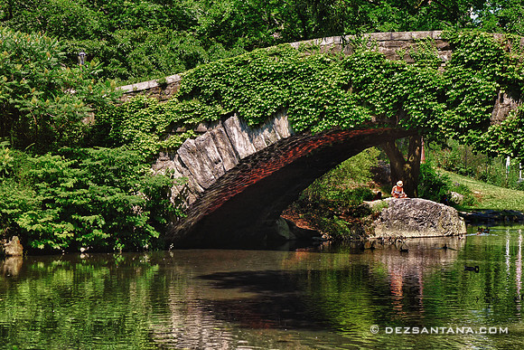 Gapstow Bridge
