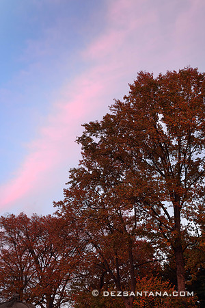 Twilight