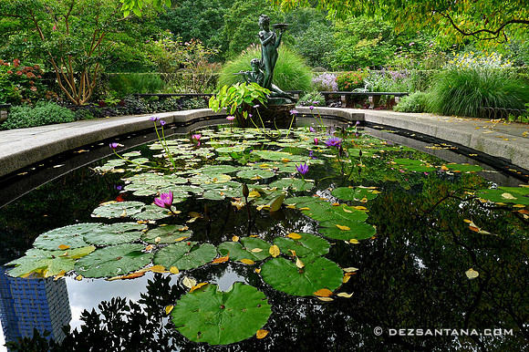 Burnett Memorial Fountain