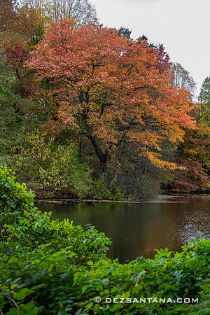 Prospect Park
