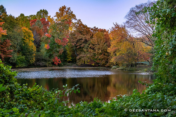 Prospect Park