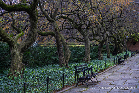 Conservatory Garden